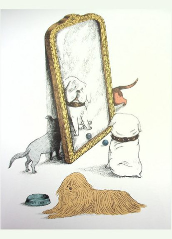 Книга Собаки и кошки с точки зрения ученых. Автор - Меган Каллис ( ) Жорж (338874492)