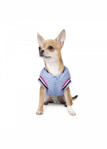 Бомбер для собак середніх порід Spike, блакитний XS Pet Fashion (402779612)