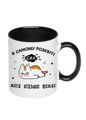 Чашка з друком "В самому розквіті сил" 330мл (колір чорний) (20510) No Brand (312486915)