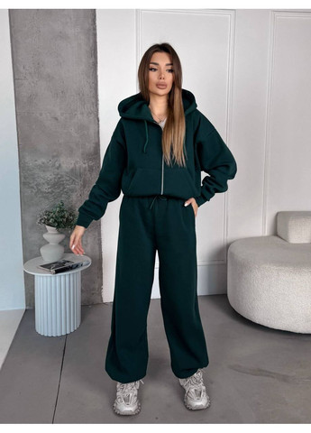 Жіночий теплий спортивний костюм FINO Mode (366980561)