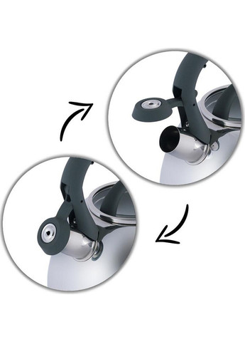 Чайник Whistling Kettle 2.7л со свистком и стеклянной крышкой Kamille (288184669)