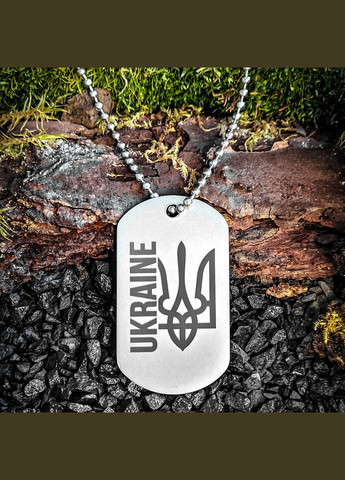 Жетон ЗСУ з нержавіючої сталі з ланцюжком. 46 ДШБ - 46-та окрема аеромобільна бригада No Brand (300369514)