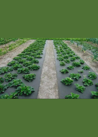 Агроволокно 50 г/м 3,2м*100м Україна 058606 (372692394)