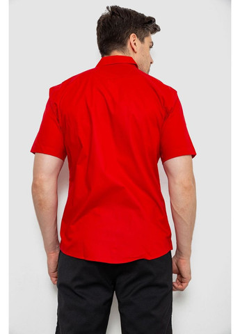 Сорочка чоловіча класична, 214R7116-1 Ager (360857818)