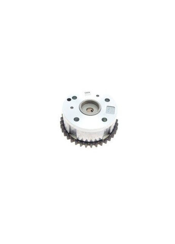 Комплект ланцюг натягувач Ina (339649130)