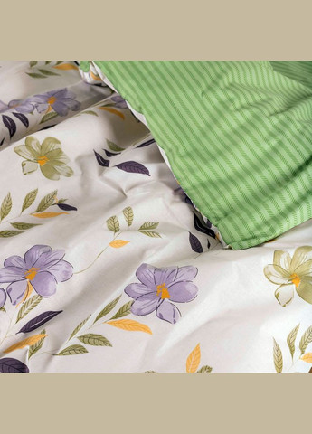 КПБ (евро) ранфорс Viluta 23225-ev (264563948)