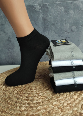 Комбіновані шкарпетки короткі бавовняні житомир (128/6) 6 пар р.40-44 XTeam однотонні (334013158)