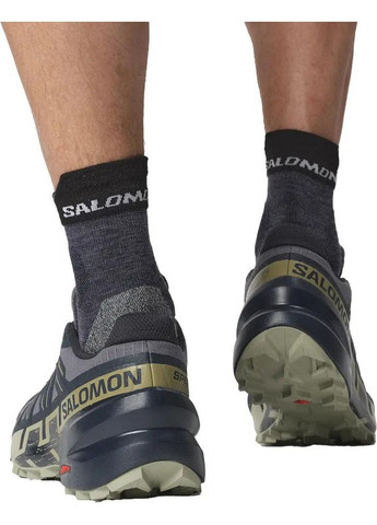 Кроссовки outdoor SPEEDCROSS GTX 39.5 8 Grisai/Carbon/Tea Salomon (339767788)