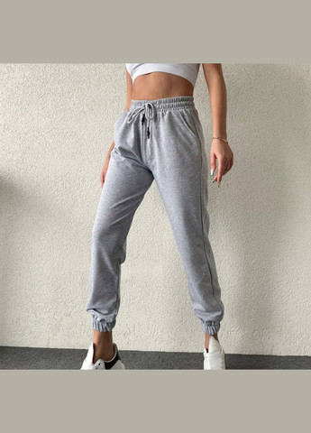 Жіночі ТЕПЛІ спортивні штани джоггери на флісі Nositi (303628005)