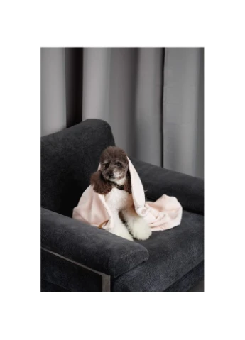 Лежак для собак Плед Bliss 2 і котів плюш пудра 6 см Pet Fashion (399750242)