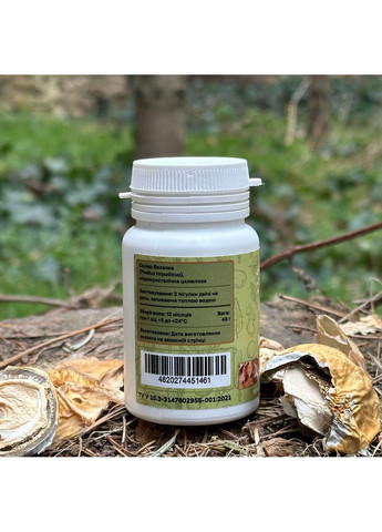 Веселка звичайна, пігулки 120 шт по 0.4 г Лісовик (334293123)