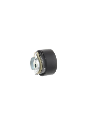 Ролик модуля натягувача ременя SKF (345766119)