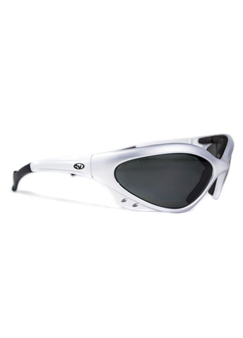 Защитные очки с поляризацией Rhinolidz Polarized (gray), серые Black Rhino (319705060)