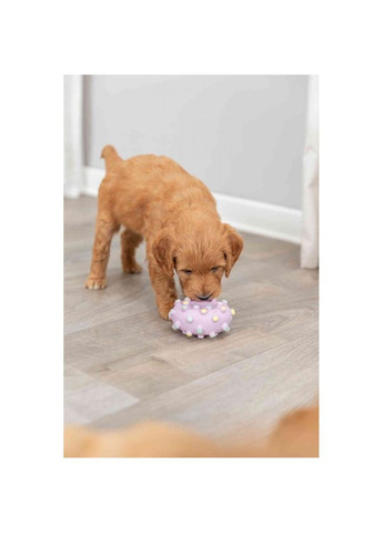 Игрушка Кольцо игольчатое для собак, d:8 см (латекс) Trixie (362702280)