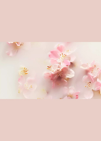 Rituals Живильний крем для тіла The Ritual Of Sakura Body Cream Рисове молоко та цвітіння вишні, 220 мл — Крем, Нідерланди (332200908)