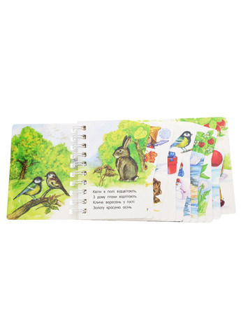 Первые шаги. Времена года РАНОК (370077330)