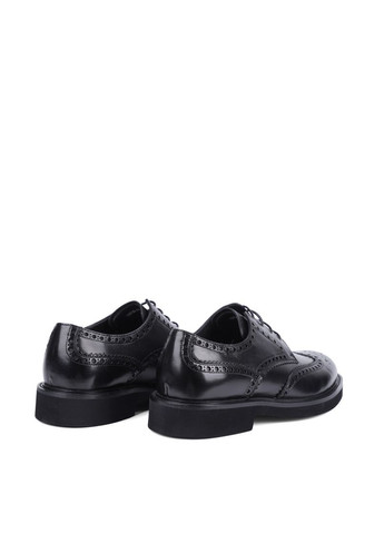 Чоловічі Туфлі 5003D-90-20 Чорний Шкіра Miguel Miratez (368754142)