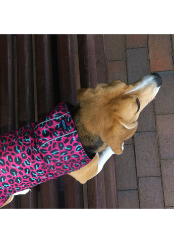Дождевик для собак Textile с капюшоном Леопард (17518722) Barksi (370548482)