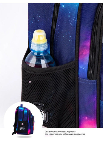 Рюкзак школьный для девочек /SkyName R3-270 Winner (331532368)