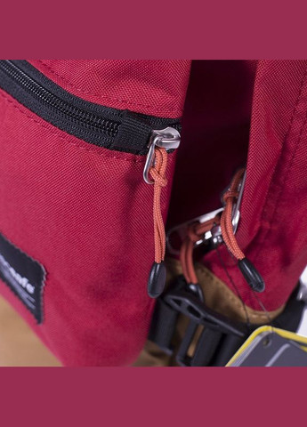 Рюкзак Pacsafe (335406204)