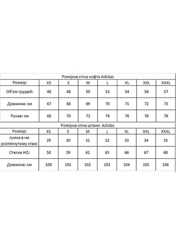 Набір AD вітрівка кофта штани 2 пари шкарпеток у подарунок No Brand (401995559)