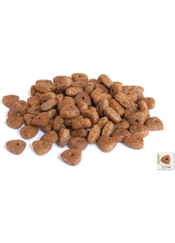 Сухой корм для собак Adult Dog Lamb&Rice с мясом ягненка и рисом 15 кг (BC405789) BonaCibo (297567609)
