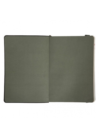 Ежедневник датированный 2026год А5 мягкий 368 страниц Polo .графитовый 252694 Leo Planner (364302779)