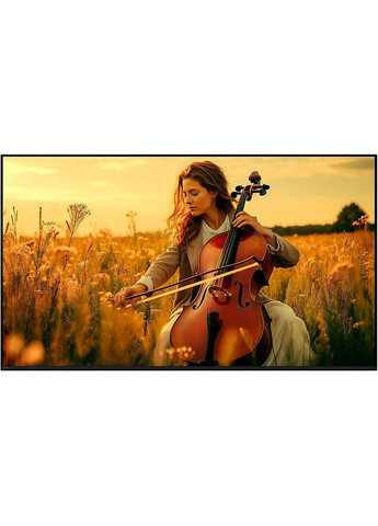 Телевизор Bravia 5 K-75XR50 Sony (364873600)