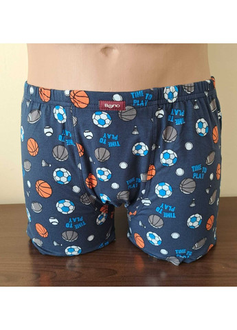 Труси чоловічі Шорти 950356, Сірий Bono (371135737)