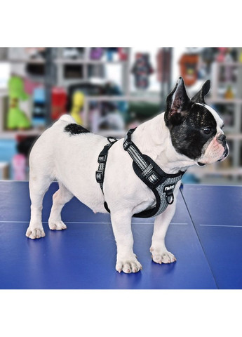 Шлей для собак iDog регулируется Комфорт и контроль во время каждой прогулки No Brand (362571914)