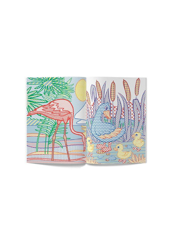 Книга "Великі водяні розмальовки з кольоровим контуром. Птахи" Home (323201948)