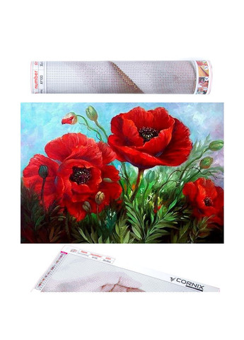 Набор алмазной мозаики (вышивки) Art 40 x 30 см Cornix AY71 (275334100)