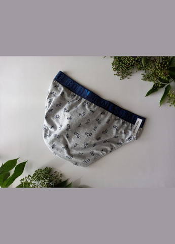 Чоловічі труси сліпи з широкою гумкою 943 розмір Л Lama (368787723)