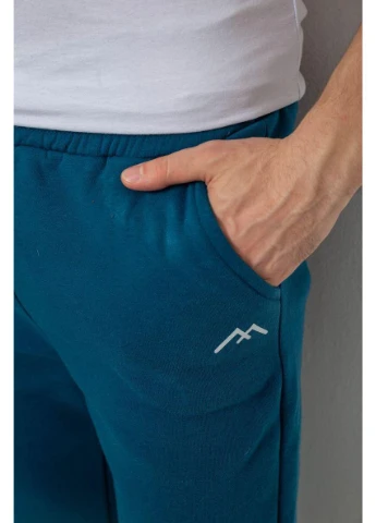 Спортивні штани чоловічі на флісі,, 238R57256 No Brand (386446661)