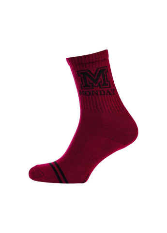 Бордові набір (3 шт) жіночих шкарпеток Siela (302517140)