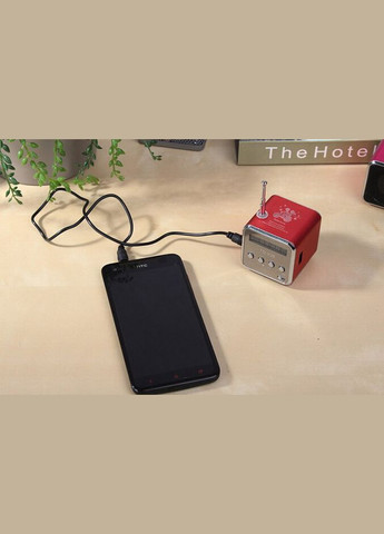 Минипортивная MP3 колонка FM радио TD-V26 XJXN (331150411)