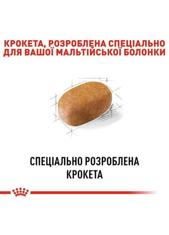 Сухий корм Maltese Adult для дорослих собак породи Мальтійська болонка у віці від 10 місяців 0,5 кг Royal Canin (364357223)