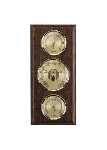 Метеостанція 203229 Oak (203229) Moller (315341910)