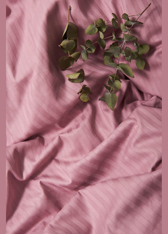 Комплект постельного белья Satin Stripe полуторный евро 160х220 наволочки 2х50х70 (MS-820003556) Moon&Star Stripe Candy (288043652)