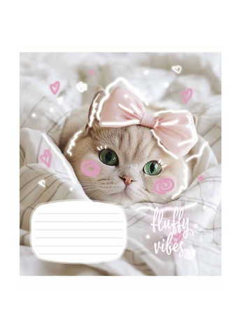 Зошит 12 арк. клітинка " " / Fluffy vibes Star (342416830)