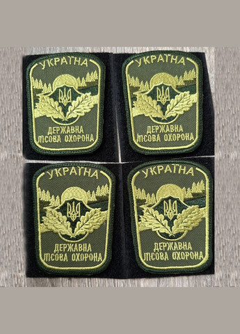 Шеврон Государственная лесная охрана Украины олива No Brand (336381928)