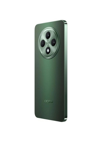 Смартфон 5G 12/512GB Black Green Oppo Reno12 FS (316152109)