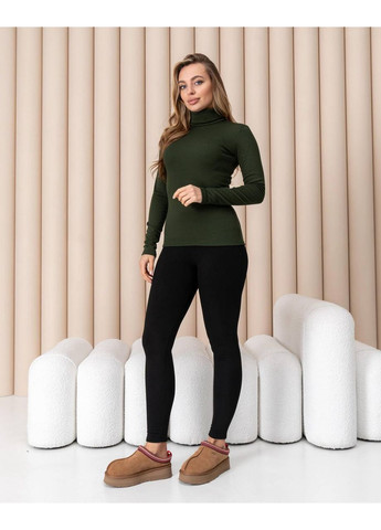 Жіноча тепла водолазка-гольф напівшерсть на термофлісі розмір DM09.09 No Brand (365654799)