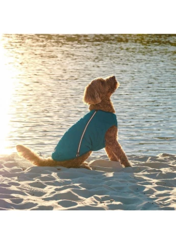 Жилет для собак E.Vest бірюзовий зі світловідбивачами розмір M Pet Fashion (395732146)