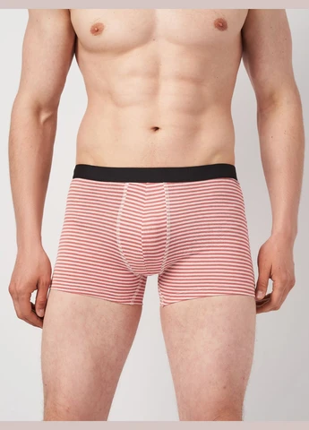 Труси (3шт) Basic Collection (315007215)