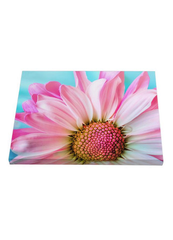 Набір постерів Тендітні квіти (PS-179) 3 шт в наборі Riviera Blanca (303135423)