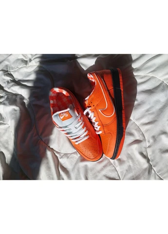 Помаранчеві кросівки чоловічі nike sb dunk low orange lobster найк сб данк помаранчеві демісезон No Brand