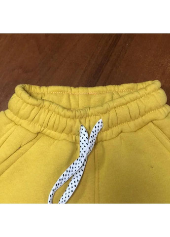 Желтые зимние брюки Partner