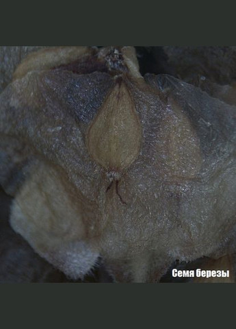 Мікроскоп Stereo 20x (9119000) National Geographic (346531306)