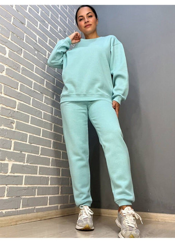 Брюки жіночі 24-13 спортивні штани джоггери резинка на талії утеплені PEPPER MINT (304548477)
